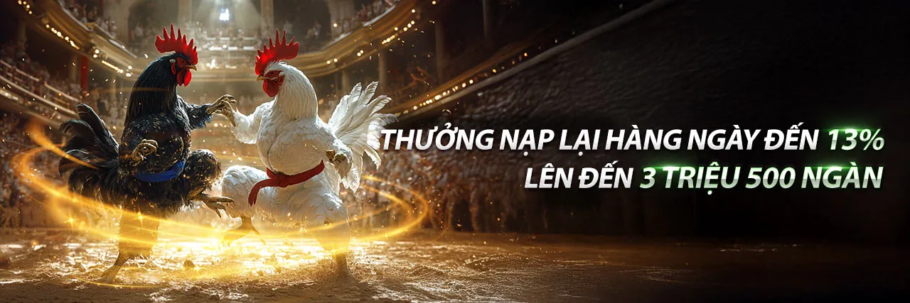 Trực Tiếp Đá Gà Thomo 999 Hôm Nay